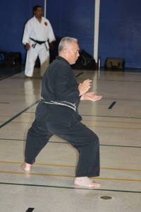 02 June 2015 Aurora ON pt2